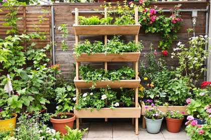 jardin_verticaux_urbain