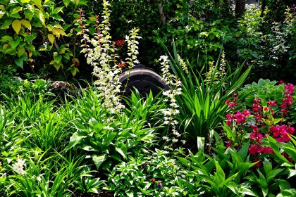 jardin_vivace_ornemental