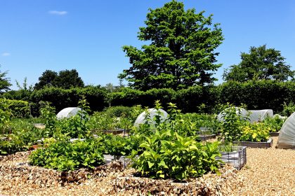 protection_potager_printemps