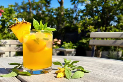 cocktail_exotique_terrasse