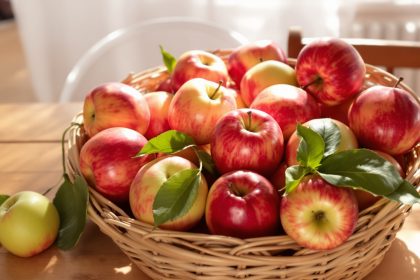 composition_pommes_banquet