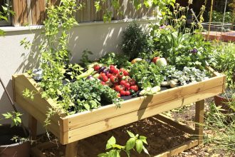 jardin-legumes-herbes
