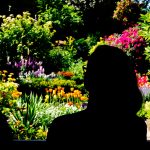 jardin-vivaces-colorées