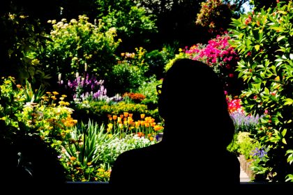 jardin-vivaces-colorées