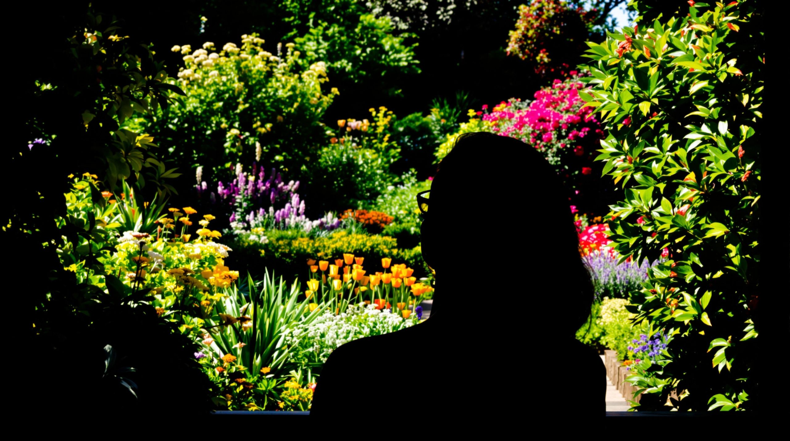 jardin-vivaces-colorées