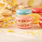 macaron_elysee_terroirs_francais