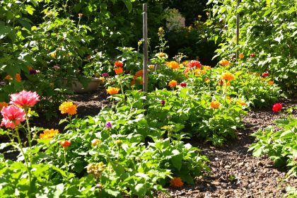 Potager_Écologique